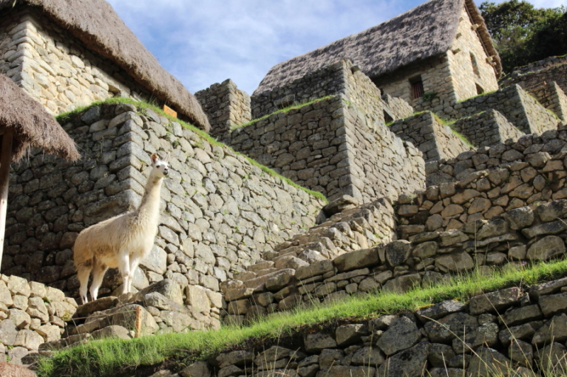 Мачу-Пикчу, Machu Picchu Мачу-Пикчу, Machu Picchu