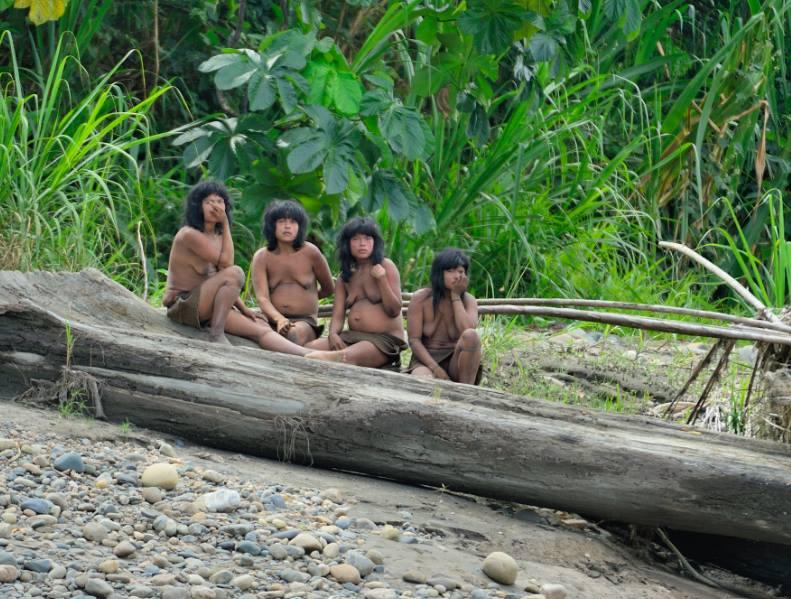 Manu National park, Национальный парк Ману, заповедник Ману Manu National park, Национальный парк Ману, заповедник Ману